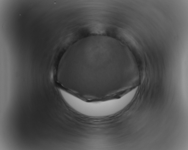 X0000094180229200711161734