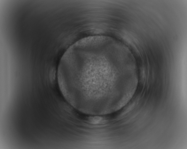 X0000094180230200711161734