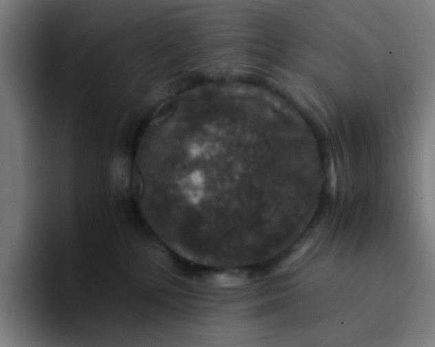 X0000094180232200711161734