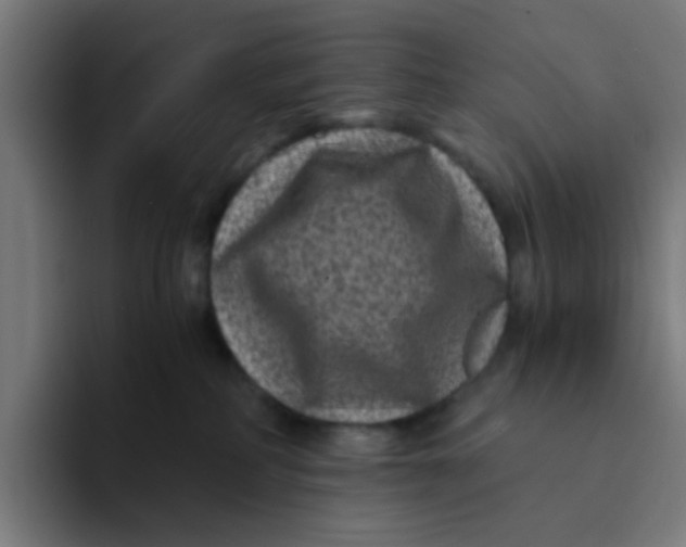 X0000094180234200711161734