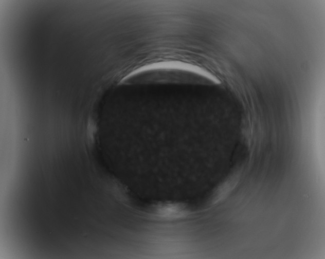 X0000094180235200711161734