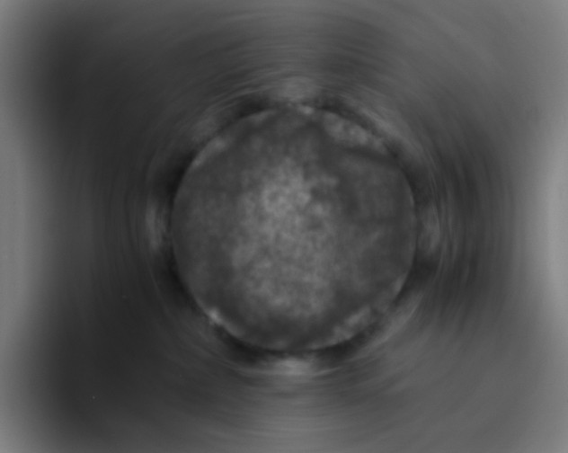 X0000094180236200711161734