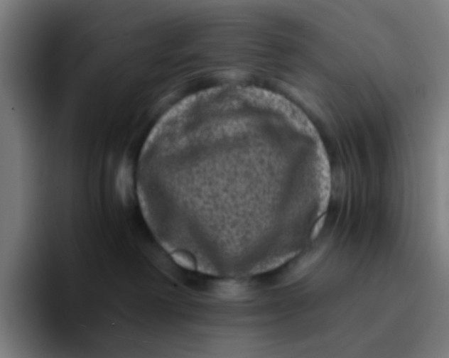 X0000094180238200711161734
