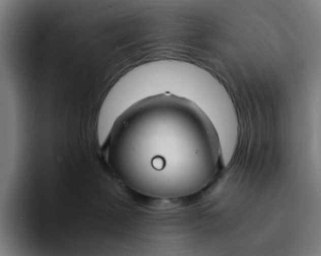 X0000094180239200711161734
