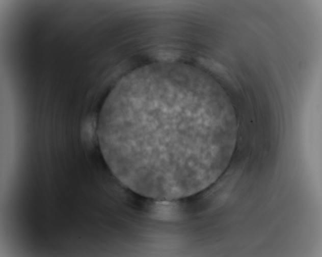X0000094180240200711161734