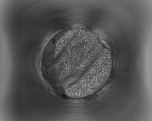 X0000094180241200711161733