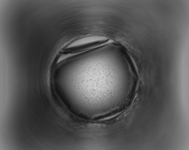 X0000094180242200711161733