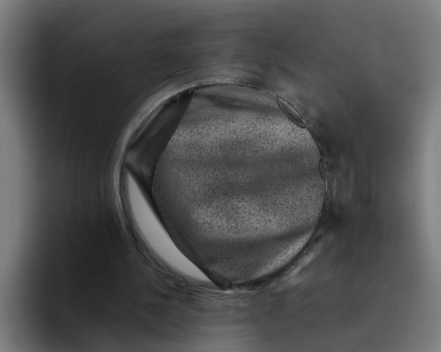 X0000094180244200711161733