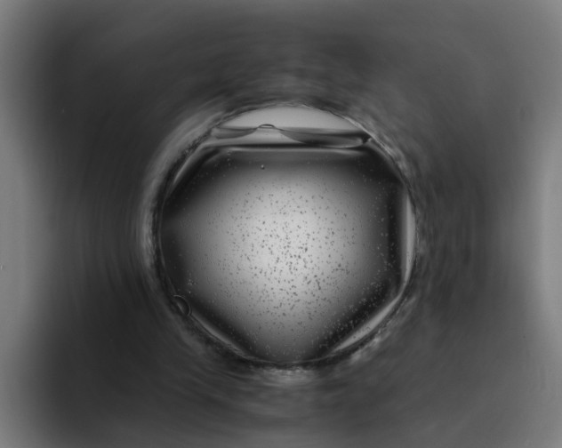 X0000094180245200711161733