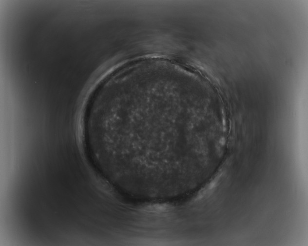 X0000094180247200711161733