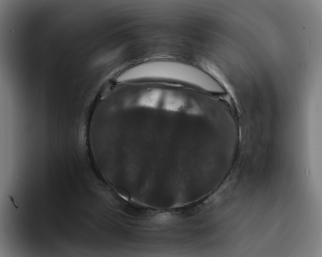 X0000094180249200711161733