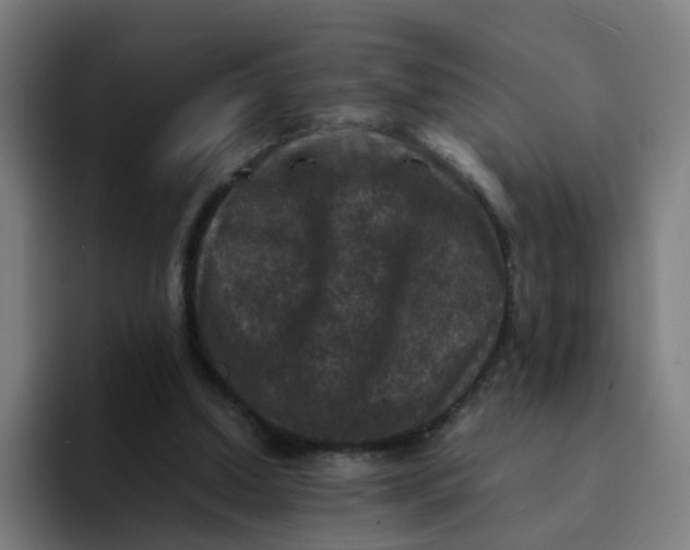 X0000094180250200711161734