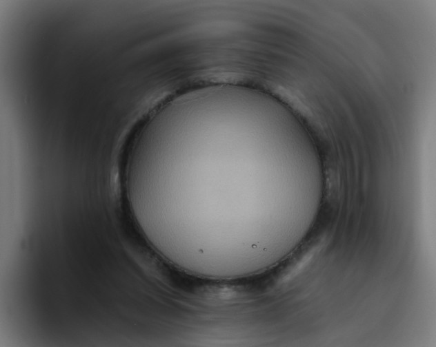 X0000094180254200711161734