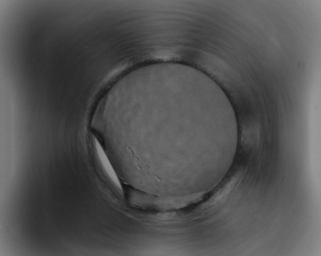X0000094180256200711161734