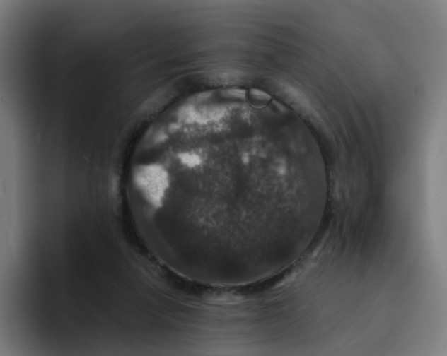 X0000094180258200711161734