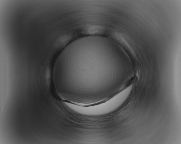 X0000094180260200711161734
