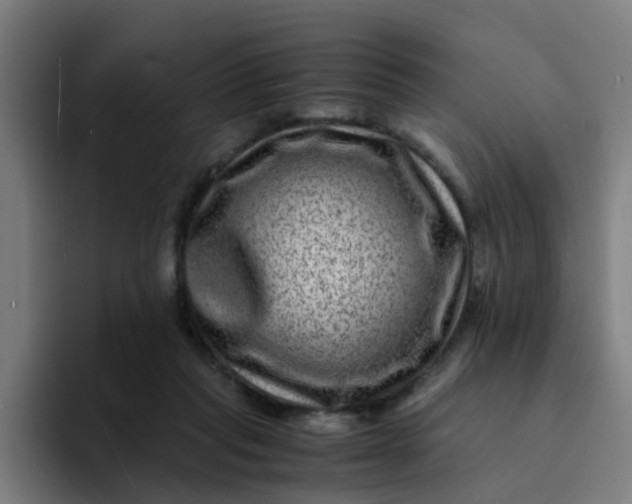 X0000094180261200711161734