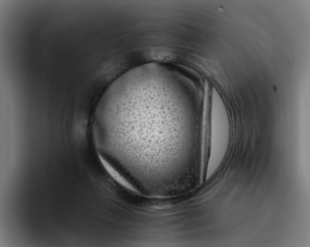 X0000094180263200711161734