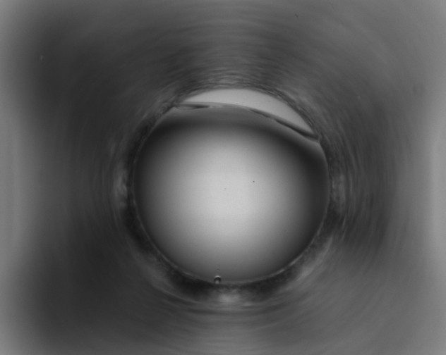 X0000094180264200711161734