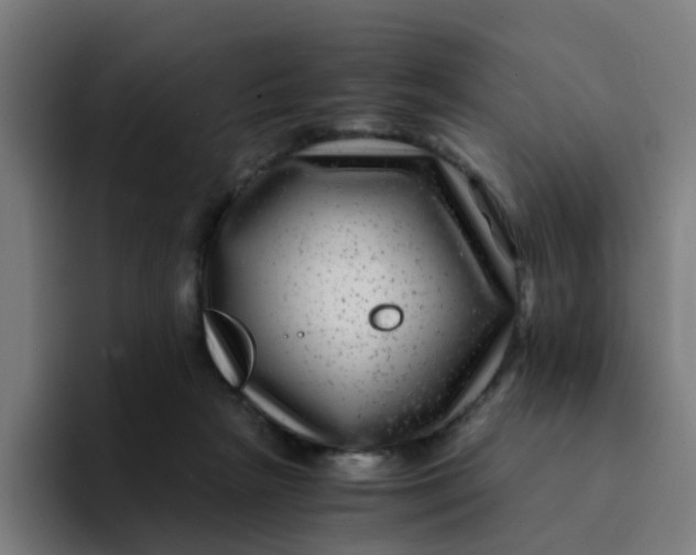 X0000094180265200711161734