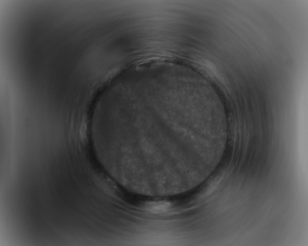 X0000094180266200711161734