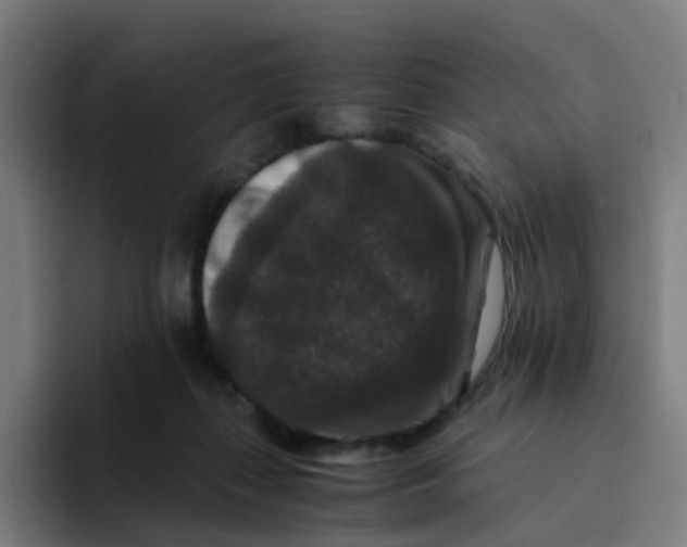 X0000094180267200711161734