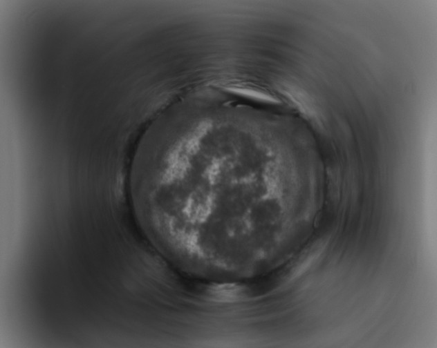 X0000094180269200711161734