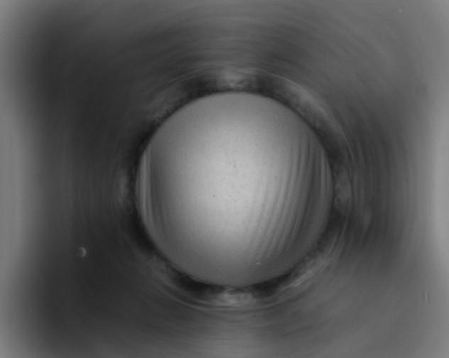 X0000094180270200711161734
