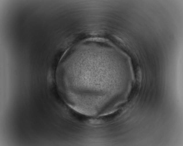 X0000094180272200711161734