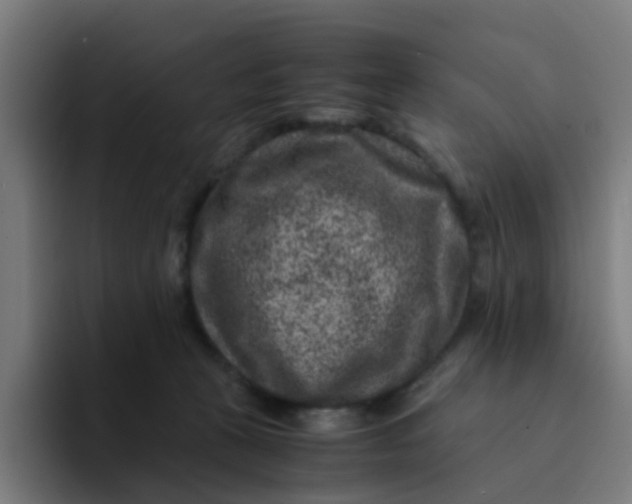 X0000094180273200711161734