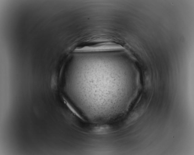 X0000094180274200711161734