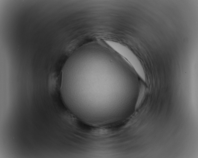 X0000094180276200711161734