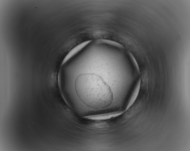 X0000094180278200711161734