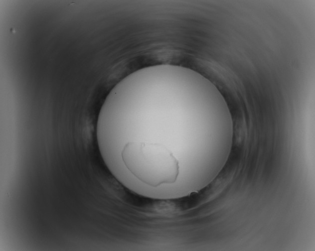 X0000094180279200711161734