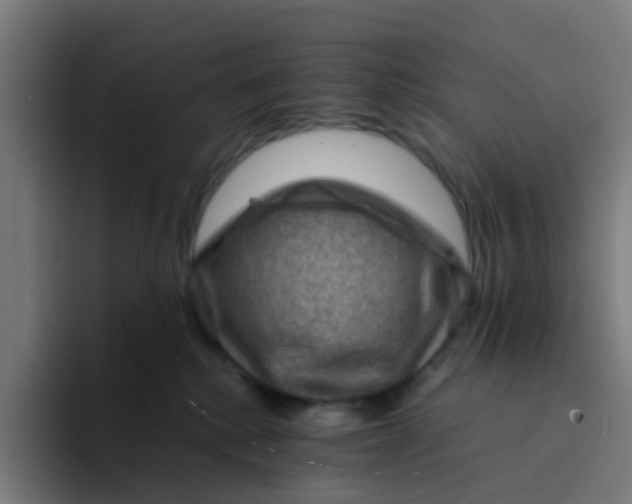 X0000094180280200711161734