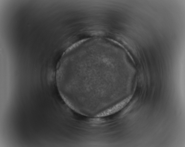 X0000094180281200711161734