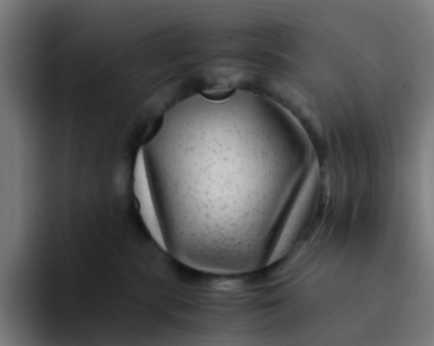 X0000094180283200711161734