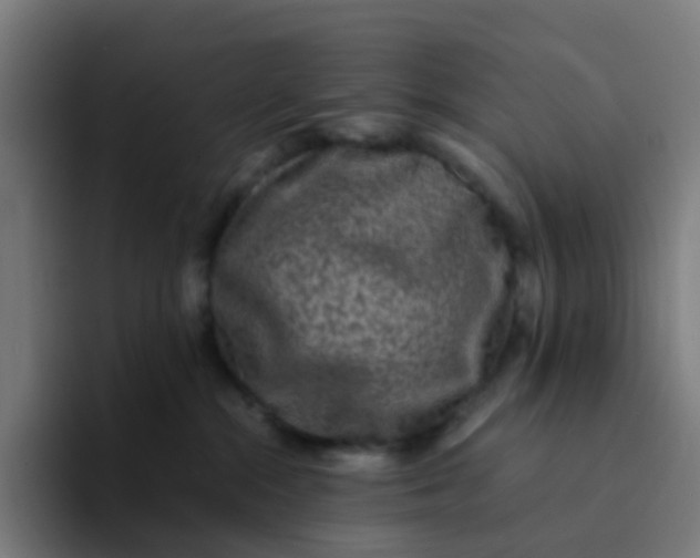 X0000094180284200711161734