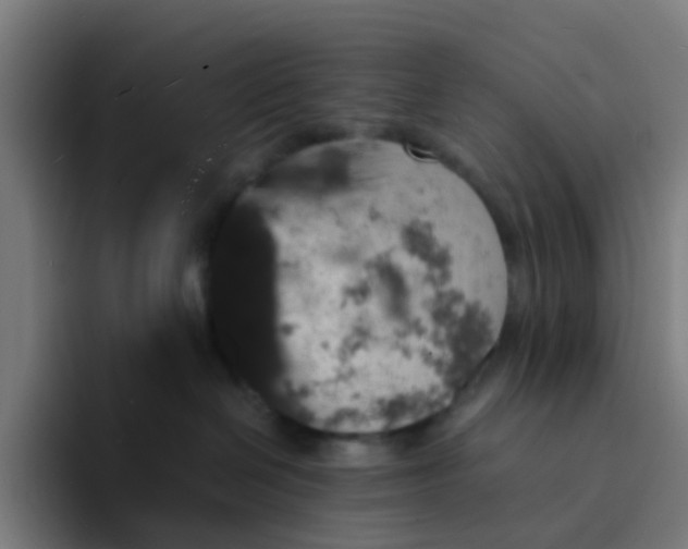 X0000094180286200711161734