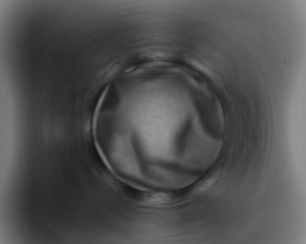 X0000094180288200711161734
