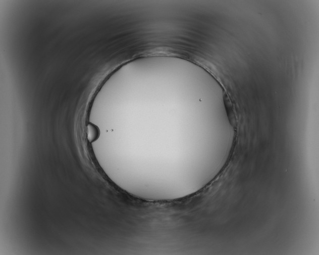 X0000094180289200711161733