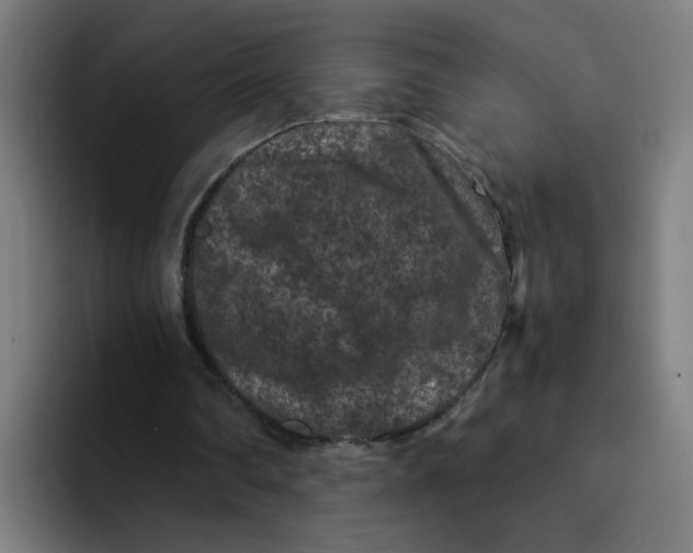 X0000094180290200711161733
