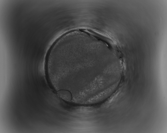 X0000094180292200711161733