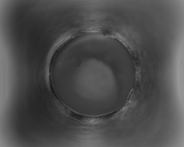 X0000094180293200711161733