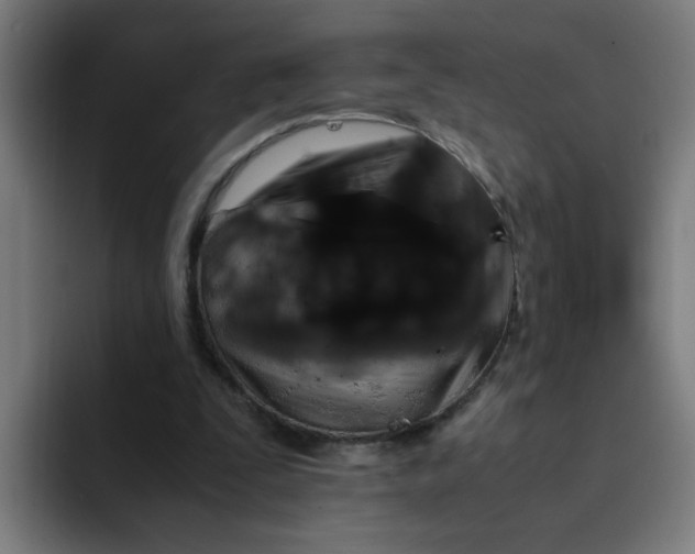 X0000094180295200711161733