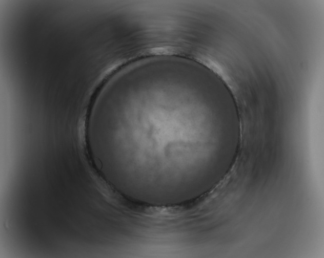 X0000094180297200711161733