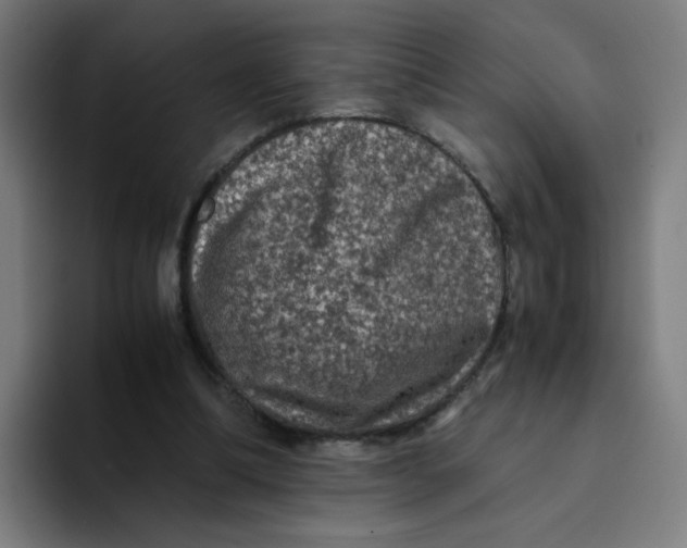 X0000094180298200711161733