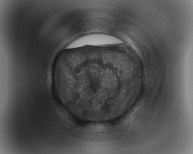 X0000094180299200711161733