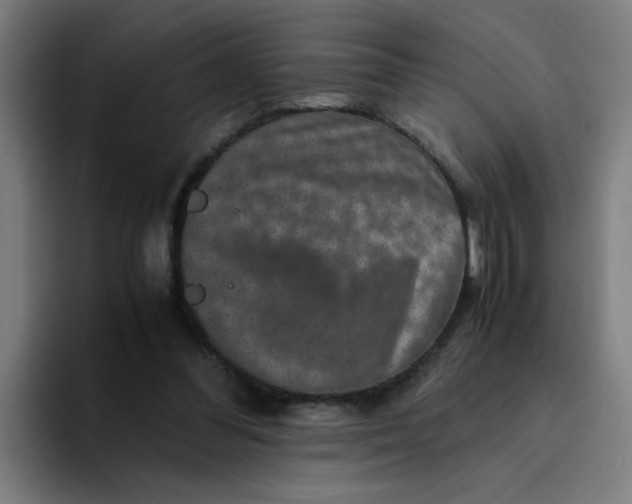 X0000094180300200711161733