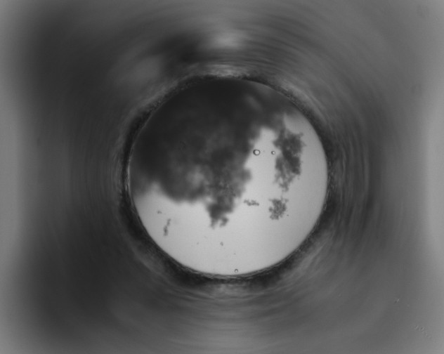 X0000094180303200711161733
